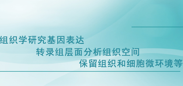 晶能生物技术(上海)有限公司 晶能生物技术(上海)有限公司